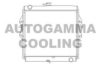 AUTOGAMMA 105906 Radiator, engine cooling